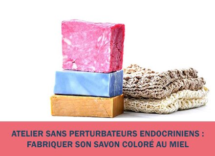 expliquer les perturbateurs endocriniens aux enfants expliquer_les_perturbateurs_endocriniens_aux_enfants